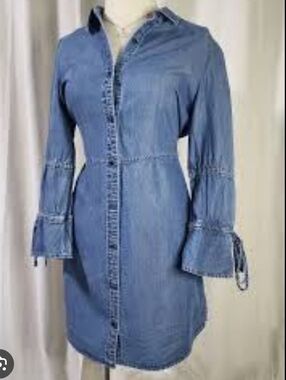Express Denim Shirt Dress with Bell Sleeves Nwt- Blue